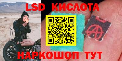 spice Белореченск