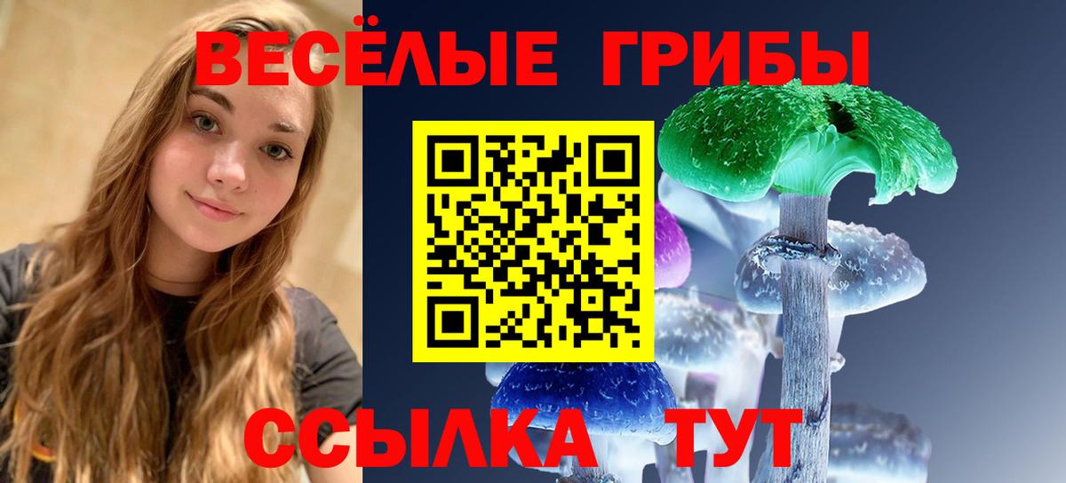 Галлюциногенные грибы мухоморы Гулькевичи